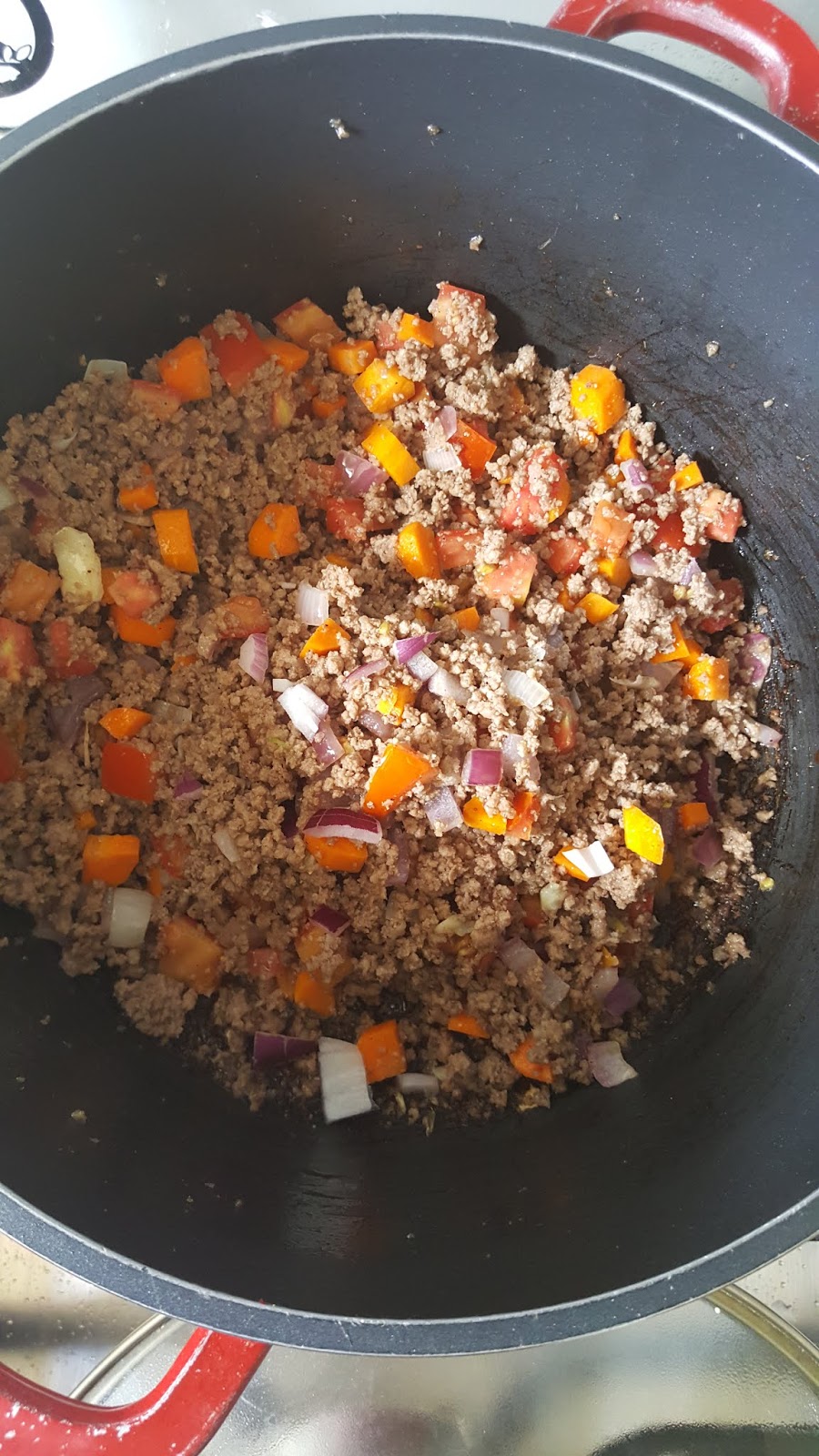 QUICK AND EASY MINCED BEEF STEW
