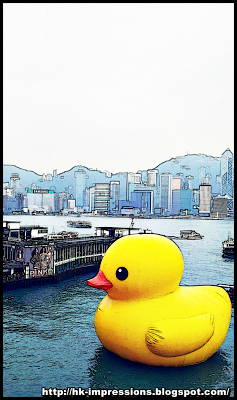 橡皮鴨游香港