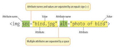 Beta Labs: HTML Basics