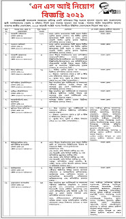 এন এস আই নিয়োগ বিজ্ঞপ্তি ২০২১