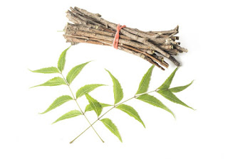 how to treat boil with Neem Leaf