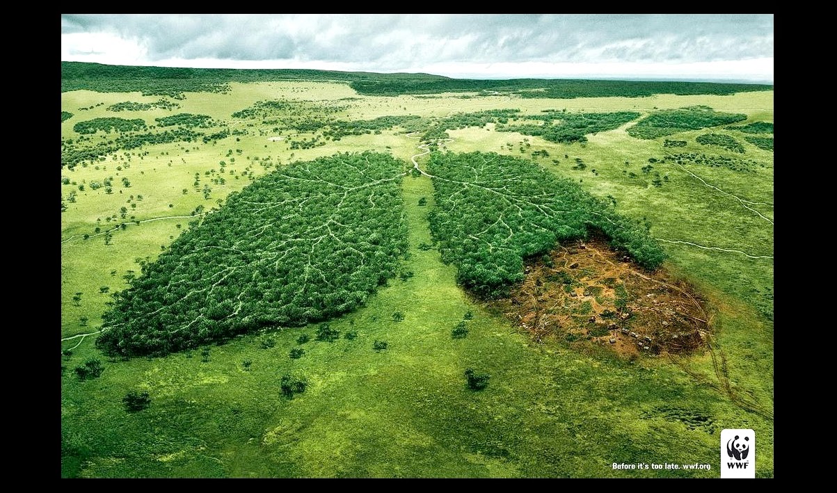 Le labo d�Anissa SVT Chapitre 1 La respiration des