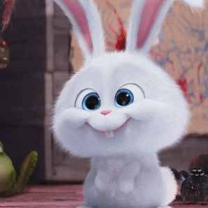 4042386901edd21555d22ee4404b1a95.gif
