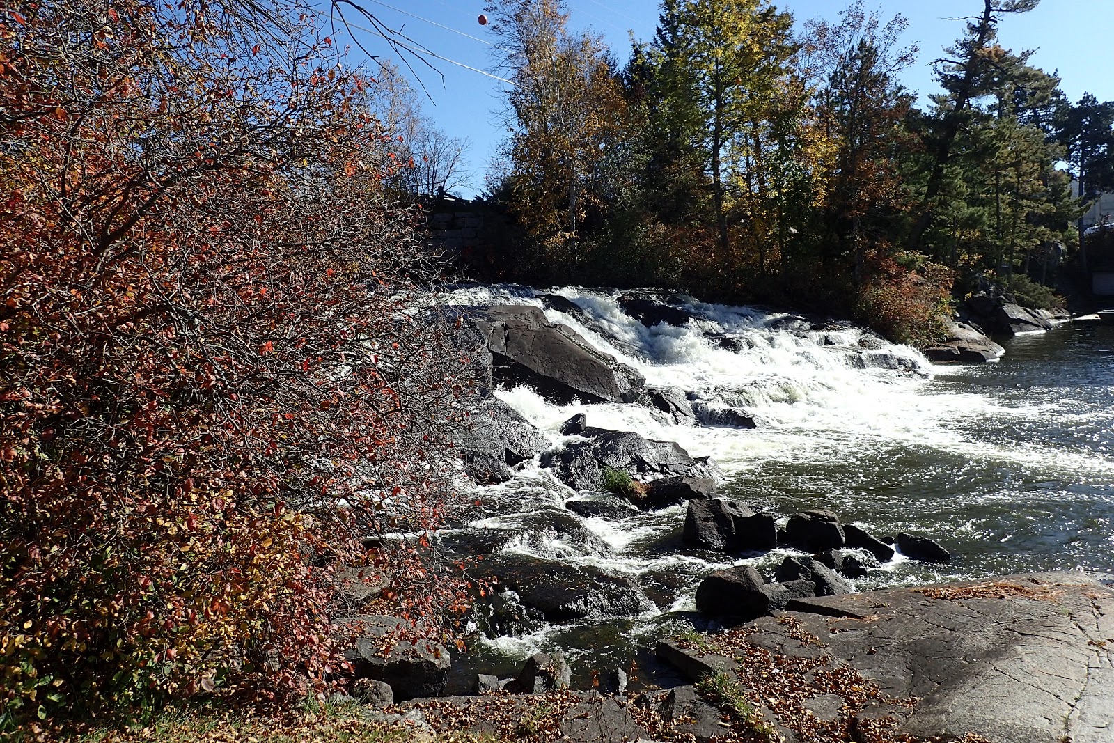 The Continuing Adventures of Eric, Noelle and Sierra The Boreal Trail