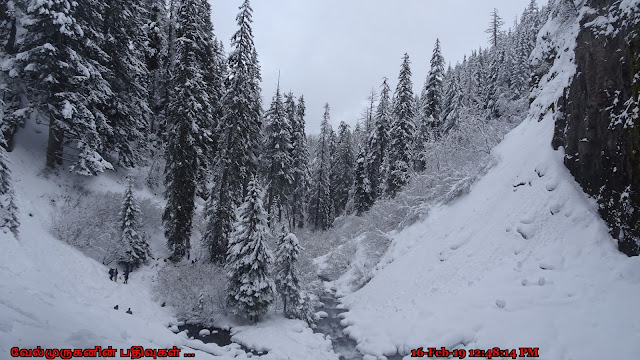 Cold Spring Creek Mt Hood