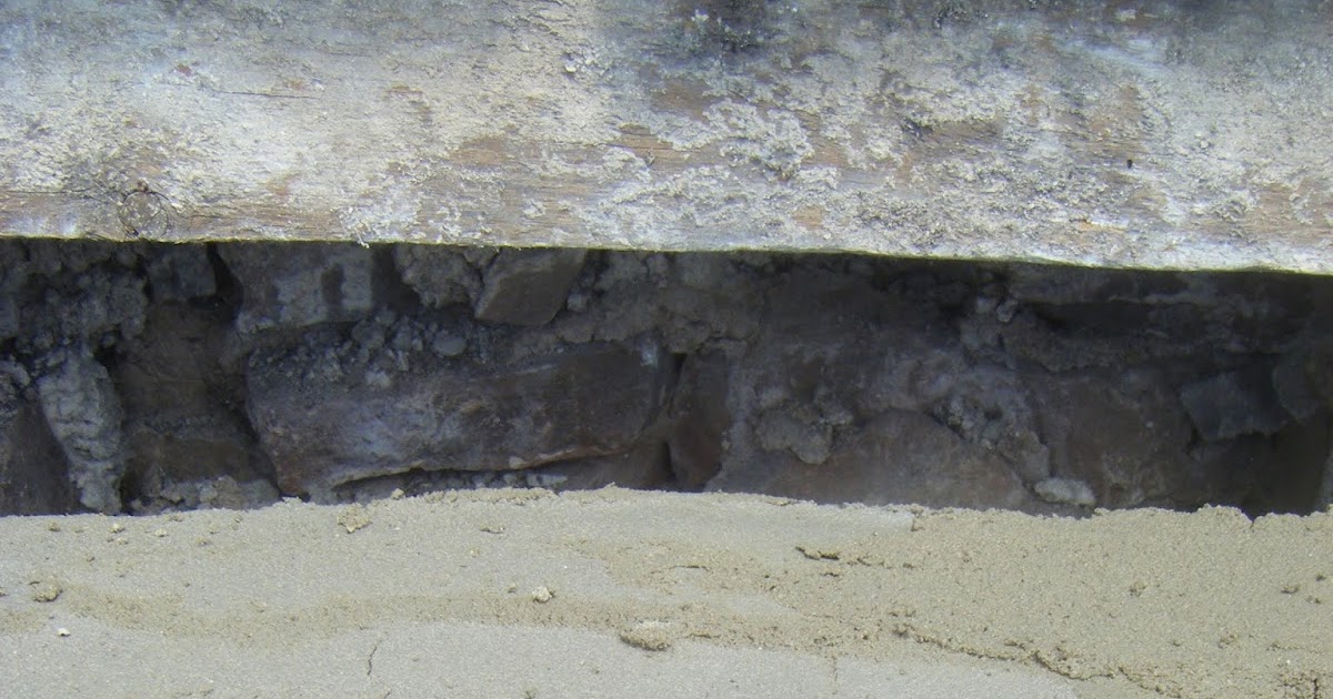 Action for Swifts Innovative use of a cavity liner