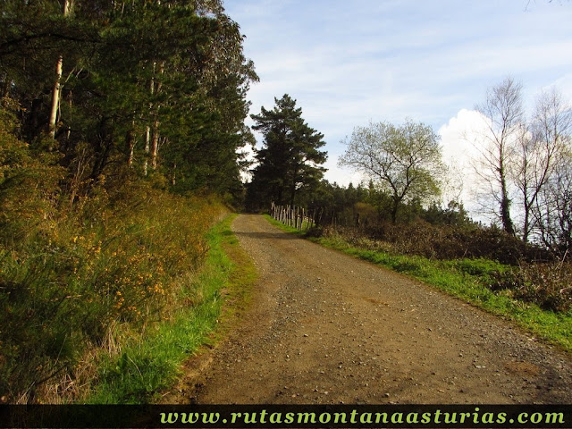 Pista en Caborcos