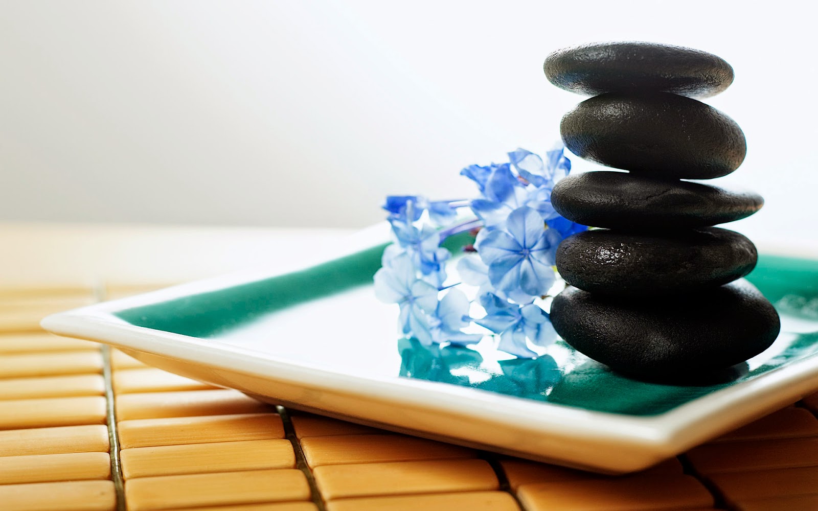 Zen-stone-flower-photography-stock-images-free-download.jpg Zen-stone-flower-photography-stock-images-free-download.jpg