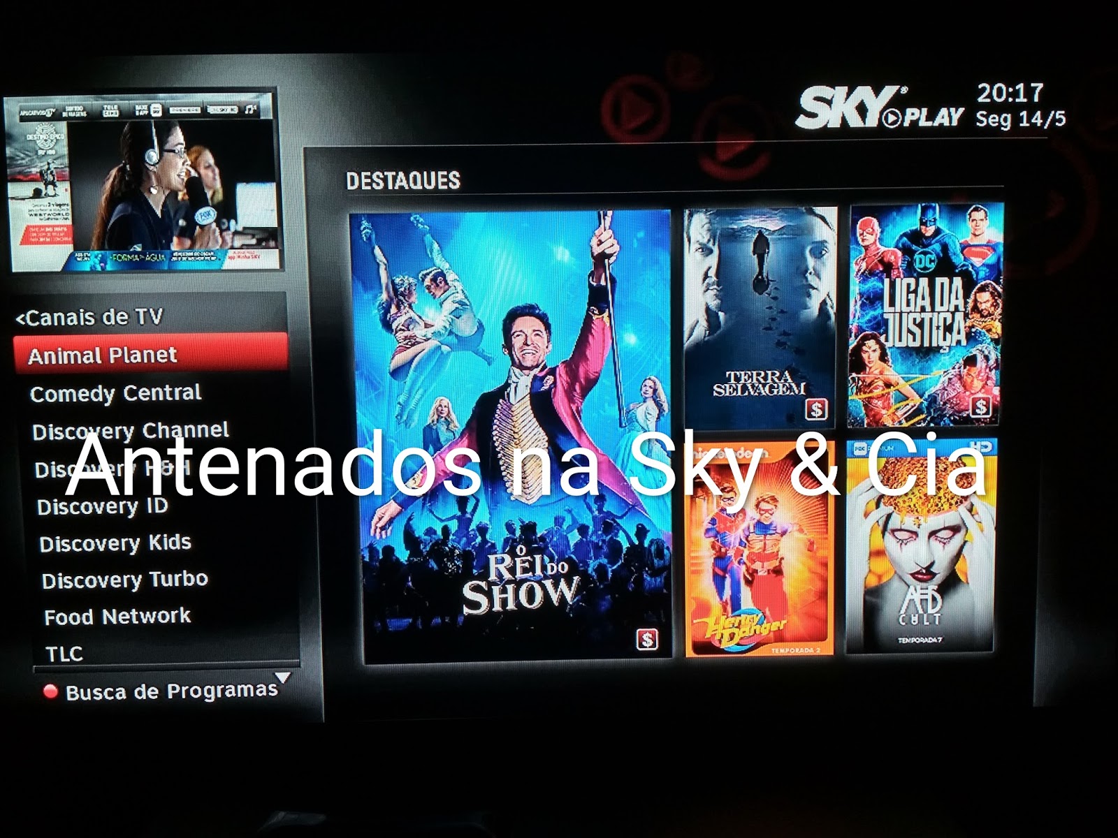 Conteúdos disponíveis atualmente no SKY PLAY. Antenados na SKY & Cia Conteúdos disponíveis atualmente no SKY PLAY. Antenados na SKY & Cia