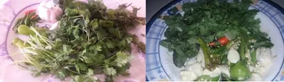 put-coriander-and-mints-leaves-into-the-grinding-jug