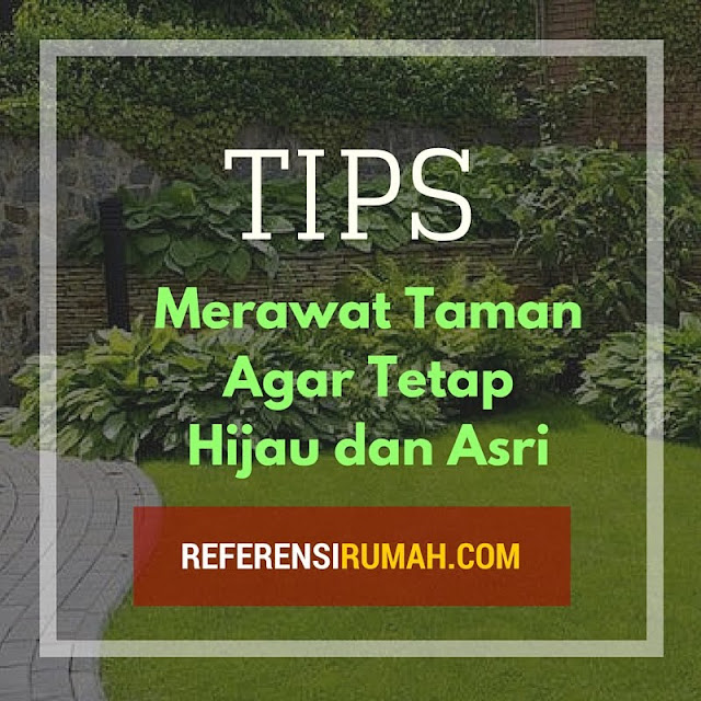 Tips Pintar Merawat Taman di Rumah Agar Tetap Hijau dan Asri Tips Pintar Merawat Taman di Rumah Agar Tetap Hijau dan Asri