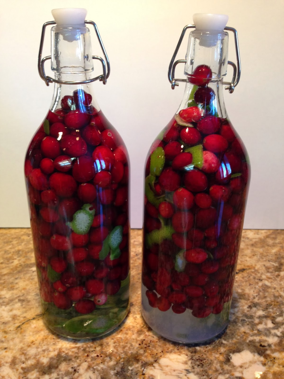 The Girls Of Gallifrey Cranberry Lime Infused Vodka The Girls Of Gallifrey Cranberry Lime Infused Vodka