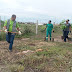 Secretaria de Meio Ambiente e Economia solidária inicia implantação do cinturão verde no bairro Parque São José