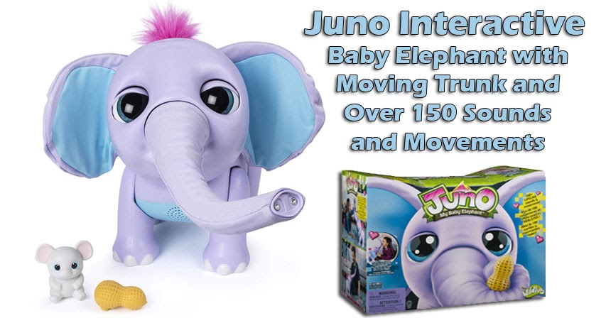 juno my baby elephant