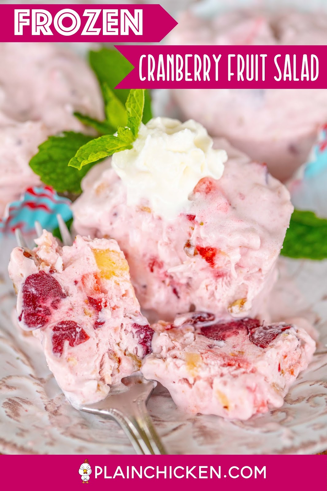 Frozen Cranberry Salad Plain Chicken®