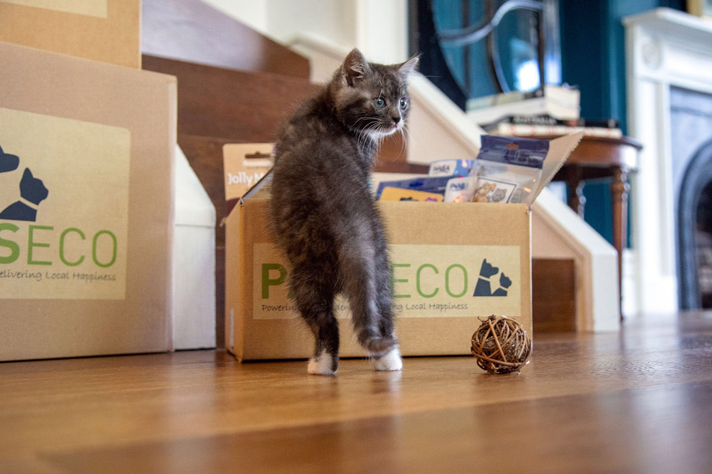 PawsEco, a Virtual Marketplace for Pet Store Owners in Australia