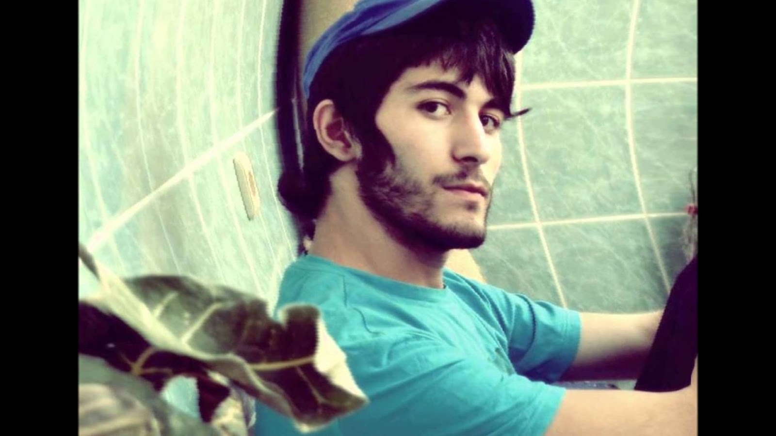 Şarkı Sözü Kitabı Hayalcash Sessiz bir gece Şarkı Sözleri