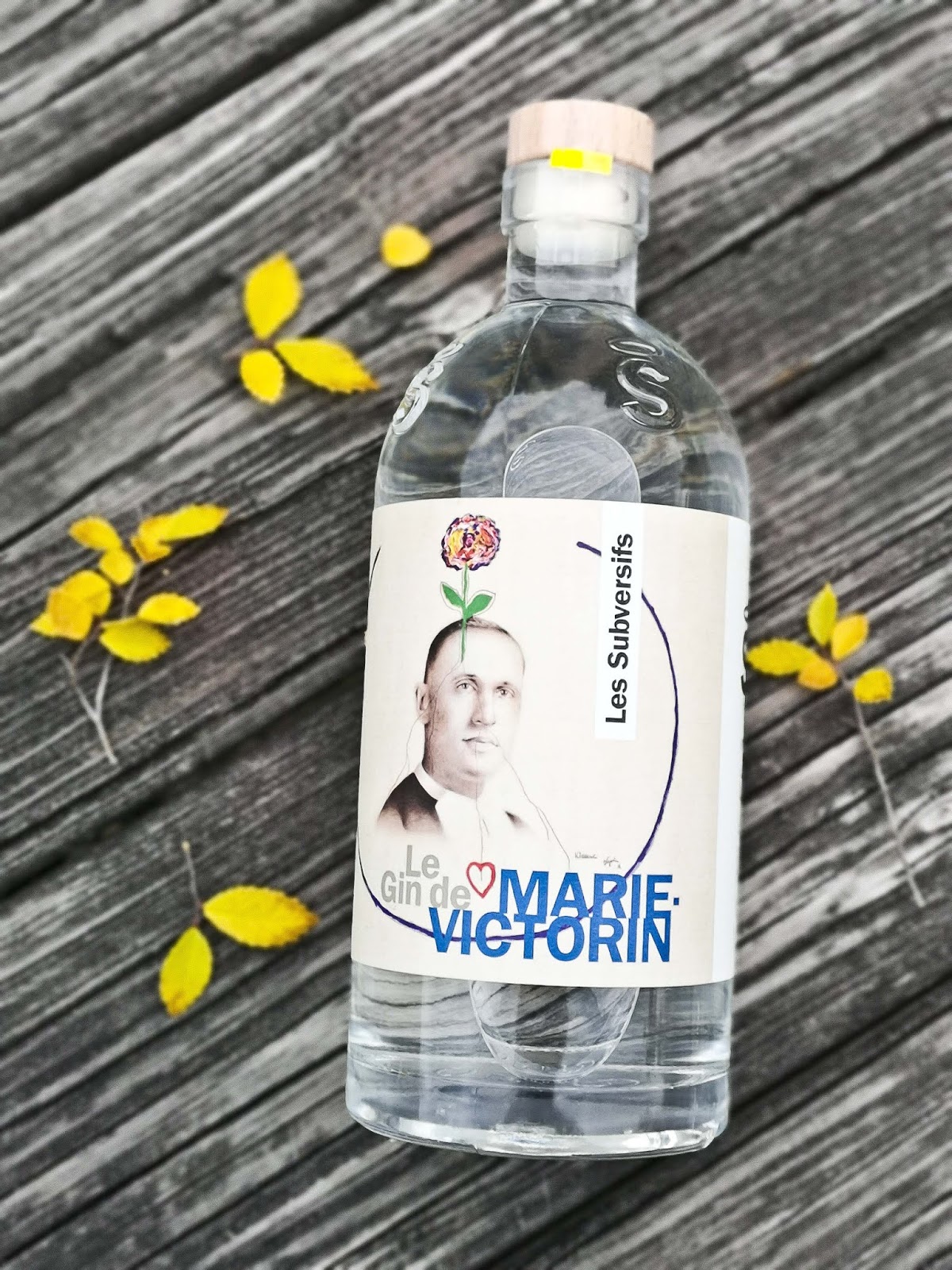 5 gins québécois parfaits pour réussir votre hibernation