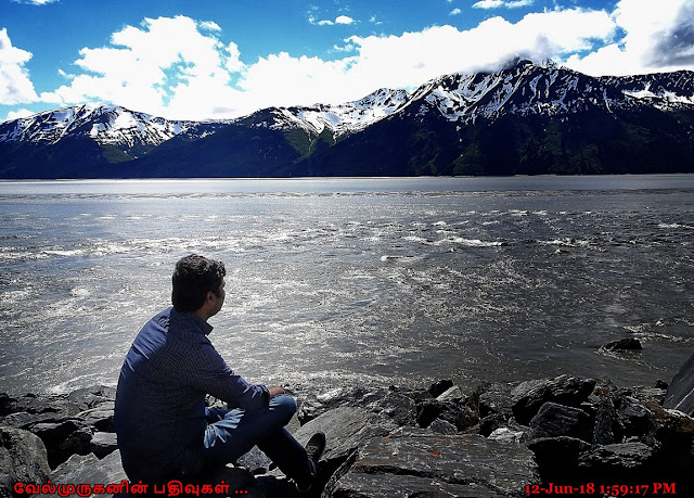 Turnagain Arm Seward Highway Alaska