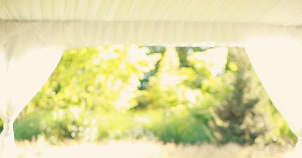 Wedding Stuff Ideas: Wedding Tulle Ideas