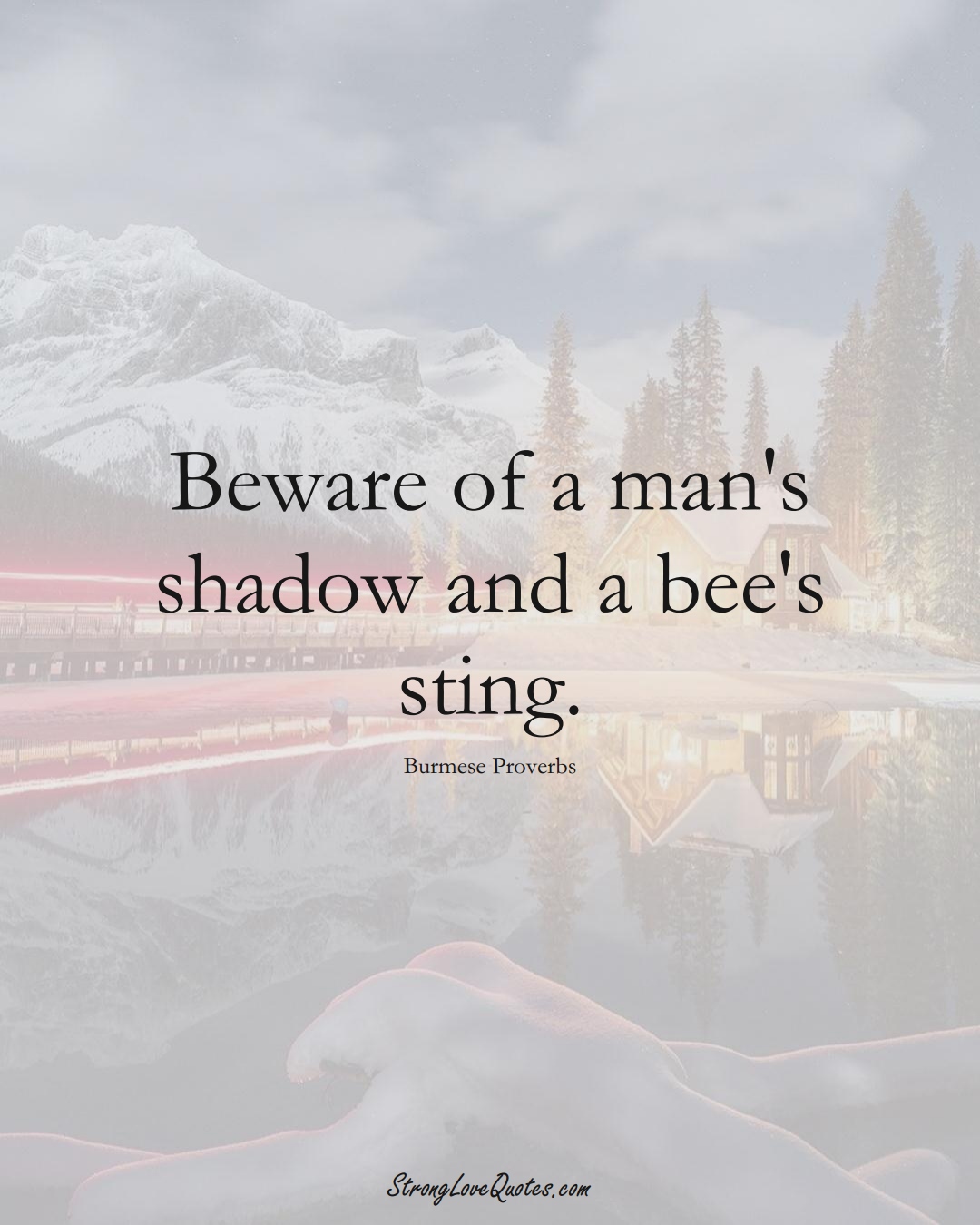Beware of a man's shadow and a bee's sting. (Burmese Sayings);  #AsianSayings