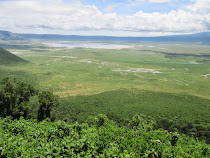 The Ngorongoro Crater: 3000 foot high and 12 miles across (Tanzania)