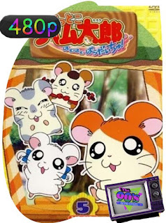 Hamtaro (2000) Temporada 1 [480p] Latino [GoogleDrive] SXGO