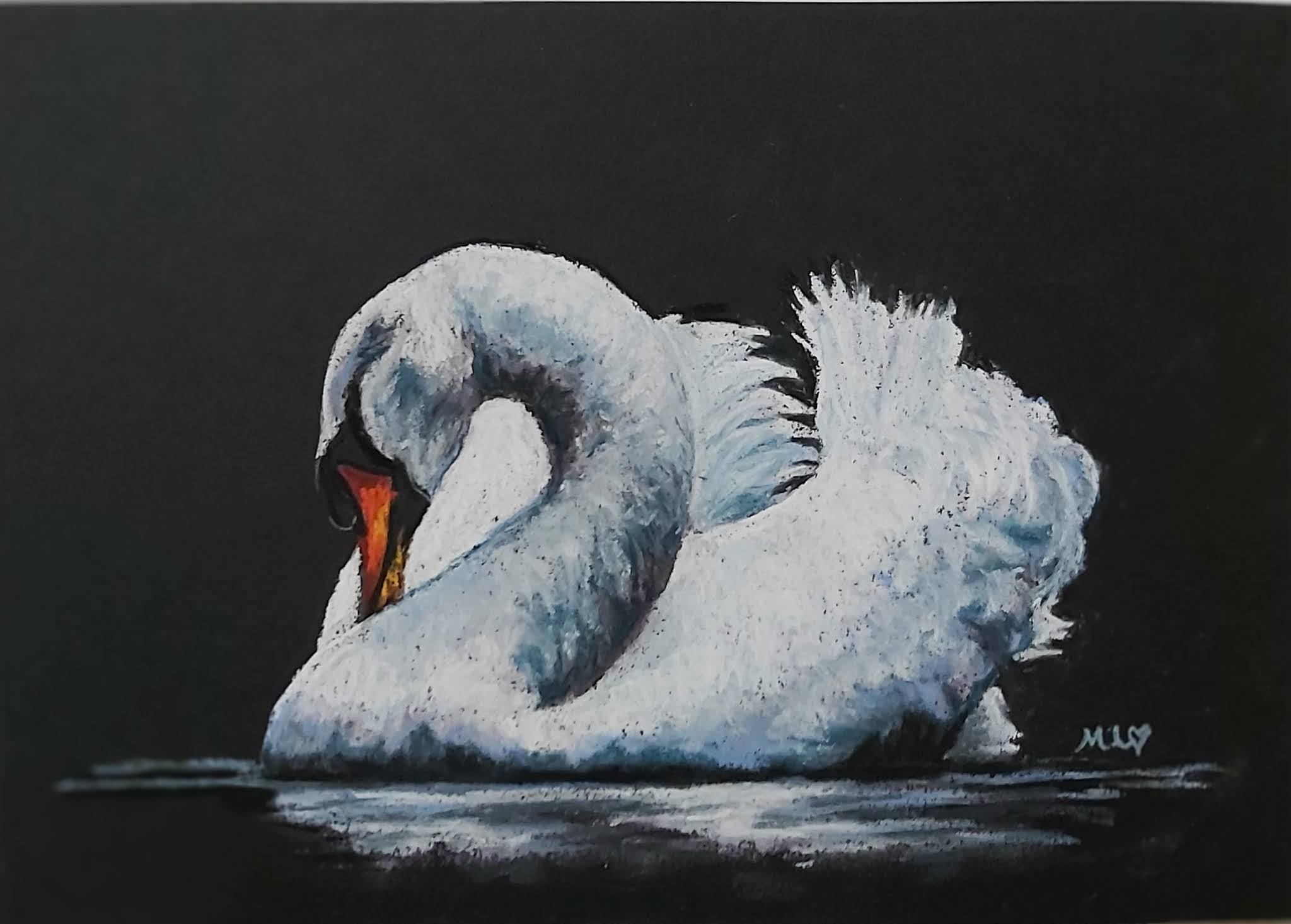 Swan in pastels on black paper
