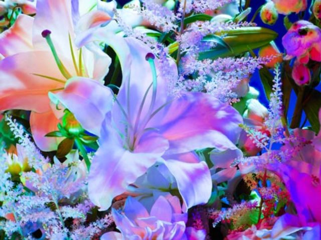 Pic Of Flowers For Facebook Pic Of Flowers For Facebook