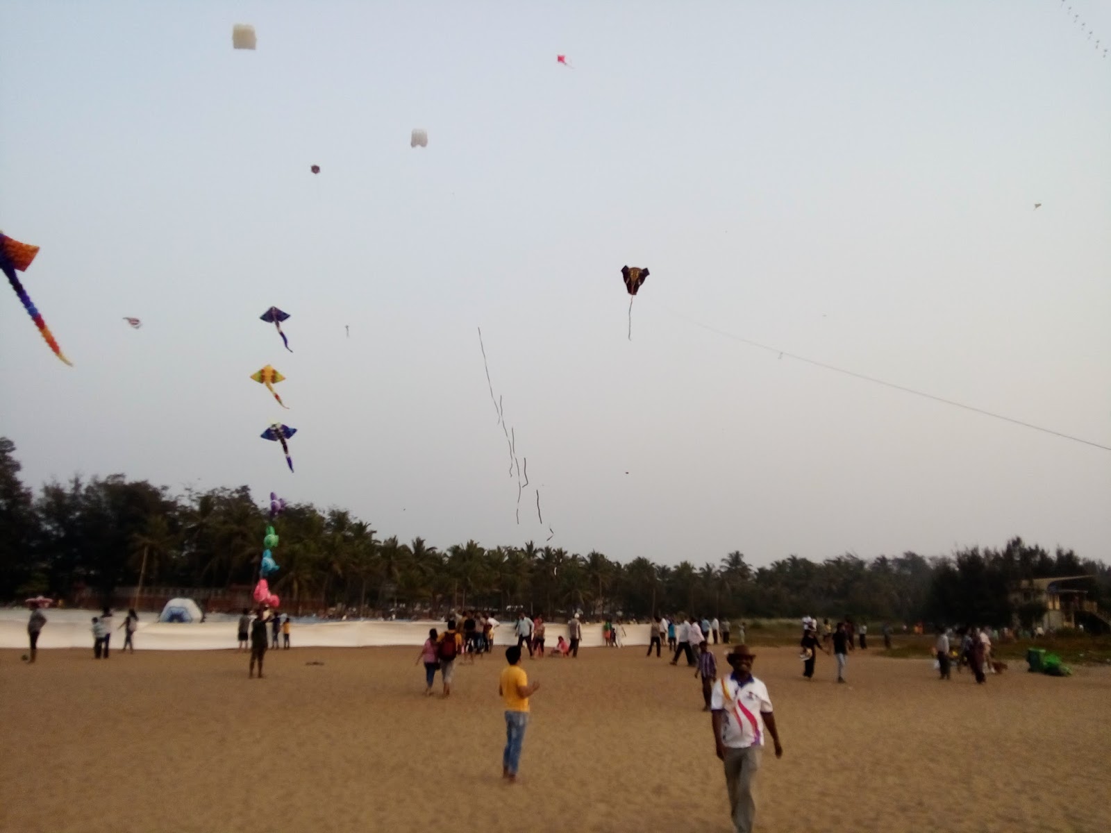 Goa & Belgaum International Kite Festival 217 1622