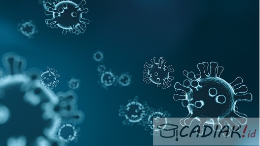 Terupdate Berikut Contoh Karya Ilmiah Tentang Coronavirus Disease Paling Lengkap Berita Pendidikan