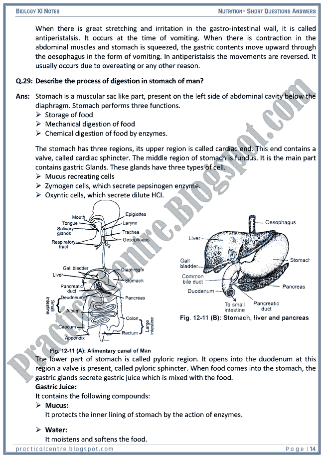 nutrition-short-questions-answers-biology-xi