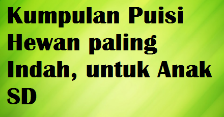 Kumpulan Puisi Hewan Paling Indah Untuk Anak Sd Kata Ucapan