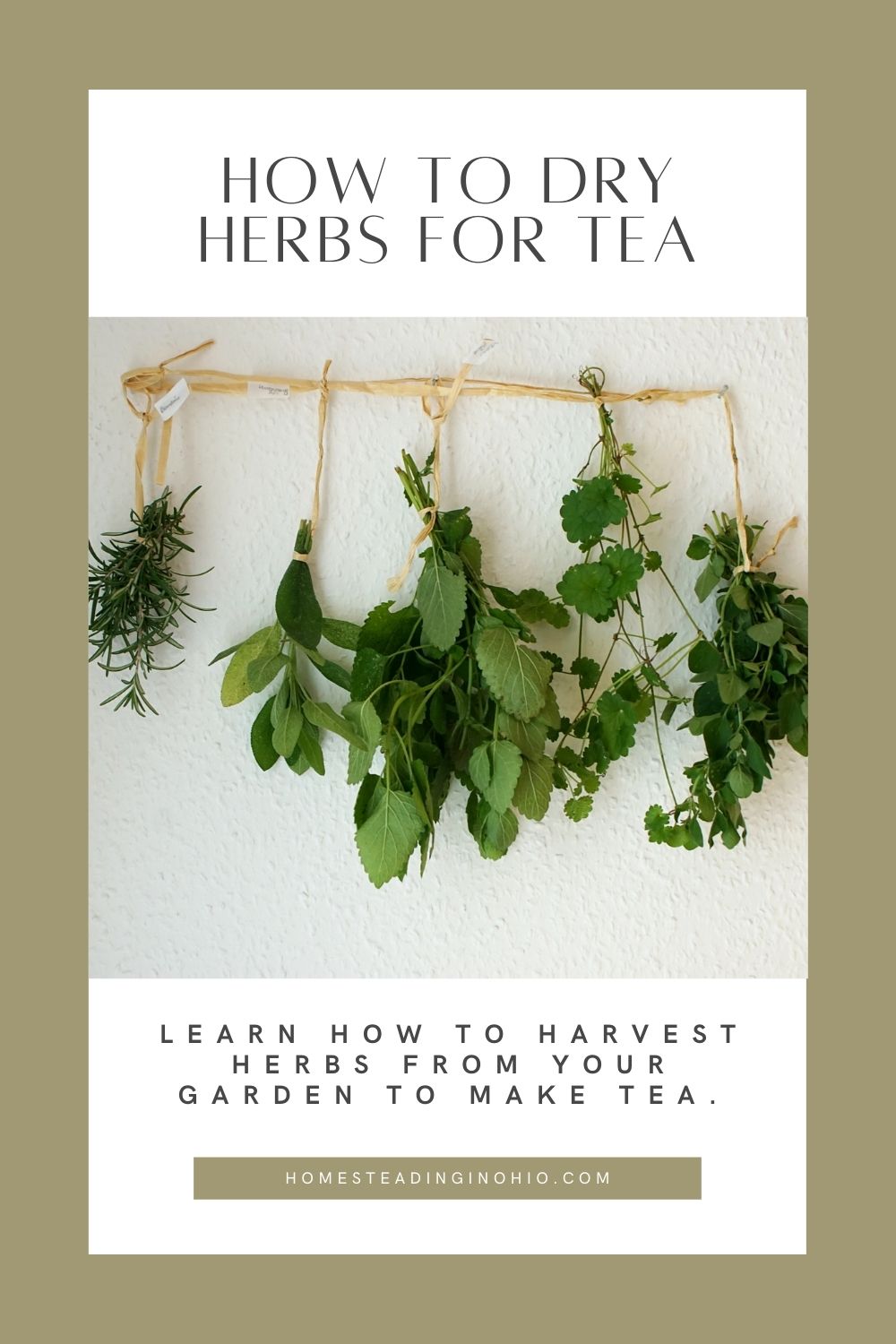 How to Dry Tea Herbs From Your Garden Homesteading in Ohio