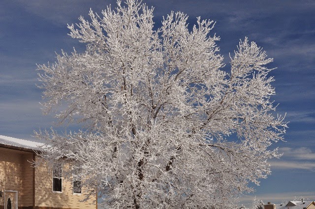 Colorado Springs winter scenes January 2015 coloradoviews.filminspector.com