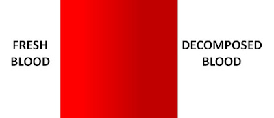 Textusa: Blood and the EVRD dog - Part 1 Blood%2Bpalette