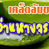 เคล็ดลับของว่านหางจระเข้ Aloe vera บรรเทาอาการแผลไฟไหม้ น้ำร้อนลวก รักษาสิว ผิวชุ่มชื้น ลดรอยแดงจากสิว