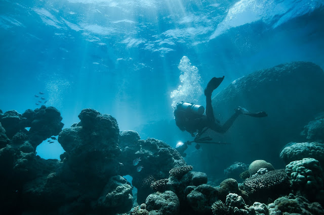 Photo of diver with underwater camera equipment in the Ningaloo Reef