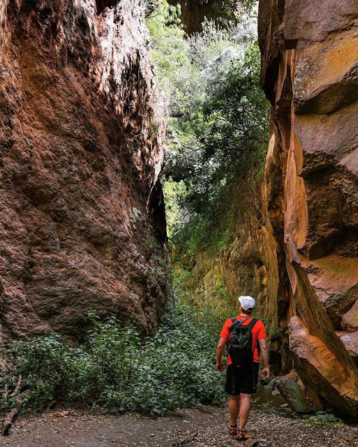 Wandern-Gran-Canaria | 10 Gründe für einen Wanderurlaub auf Gran Canaria! Wandern auf den Kanaren | Wanderungen auf den kanarischen Inseln 26