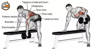 Top 6 Exercises to Strengthen Your Back