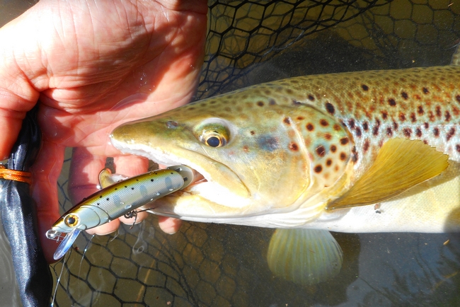 SMITH Marryat Europe: Dragonbait Trout Edition Luxe 3-18 g