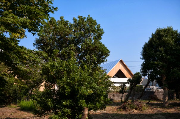 The Evergreens Shade Plants