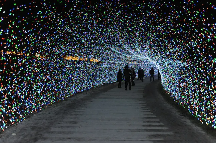 Japan's Winter Lights Festival