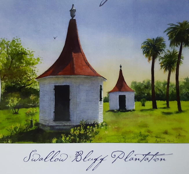 Charleston Daily Photo Swallow Bluff Plantation