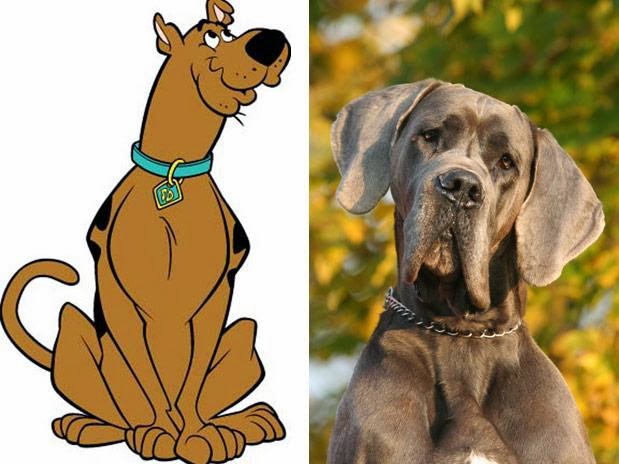 AnimaCão Adestramento de Cães: Dogue Alemão