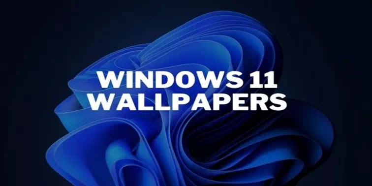 Download Wallpaper WIndows 11 Gratis