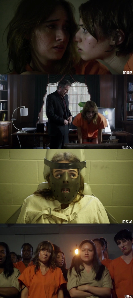 Jailbait 2014 BluRay 720p 480p Dual Audio Hindi English Full Movie Download