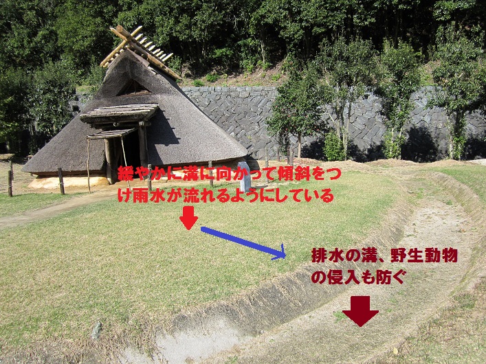 桃山日記: 古代の郷へタイムスリップ 古代の家のお勉強 マイホーム編