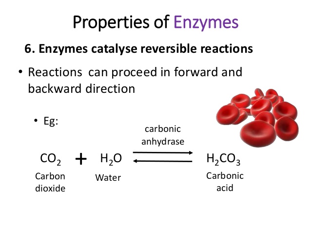 Тест на ферменты. Properties of Enzymes. Carbonic anhydrase. Reaction of Carbonic anhydrase. Enzymes specific Reactions.