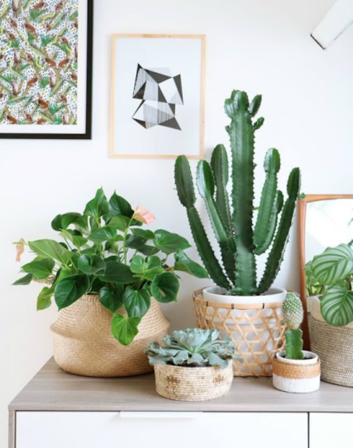 3 Tendencias para esta primavera-verano 2017